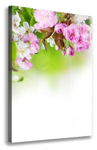 Vertikální Foto obraz na plátně Jarní květiny ocv-79458656
