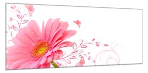 Obraz skleněný květ růžové gerbery na bílém pozadí - 40 x 60 cm