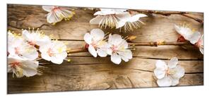 Obraz skleněný jarní větve s květy na dřevě - 34 x 72 cm