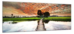 Obraz skleněný tropická řeka v západu slunce - 40 x 60 cm