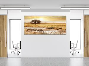Obraz skleněný Safari a zebry - 30 x 60 cm