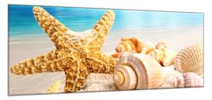 Obraz do koupelny hvězdice a mušle na pláži - 100 x 150 cm