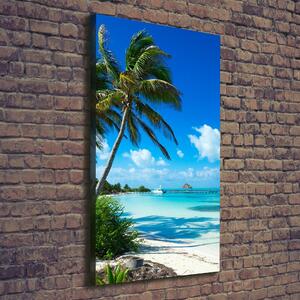 Vertikální Foto obraz na plátně Tropická pláž ocv-80340825
