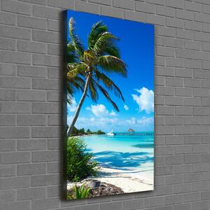 Vertikální Foto obraz na plátně Tropická pláž ocv-80340825