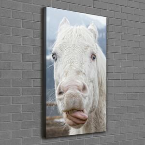 Vertikální Foto obraz na plátně Šílený bílý kůň ocv-80296116
