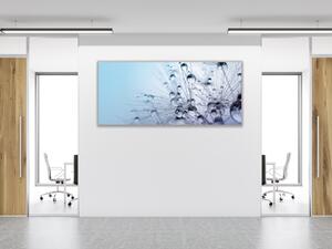 Obraz skleněný modré chmýří pampelišky s rosou - 30 x 60 cm