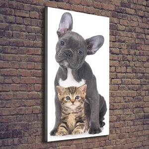 Vertikální Vertikální Foto obraz na plátně do obýváku Pes a kočka ocv-80558737