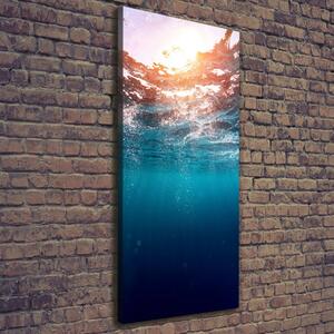 Vertikální Vertikální Foto obraz na plátně do obýváku Pod vodou ocv-80591143