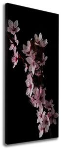 Vertikální Foto obraz canvas Květy višně ocv-80647628