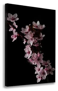 Vertikální Foto obraz canvas Květy višně ocv-80647628