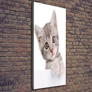 Vertikální Vertikální Foto obraz na plátně do obýváku Šedá kočka ocv-80791907