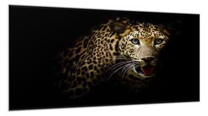 Obraz skleněný hlava leoparda - 40 x 60 cm