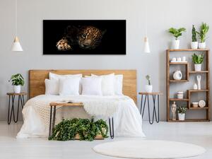 Obraz skleněný portrét ležící leopard - 30 x 60 cm