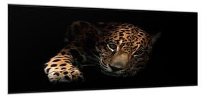 Obraz skleněný portrét ležící leopard - 40 x 60 cm