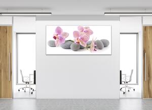 Obraz skleněný růžové květy orchidejí na šedých kamenech - 50 x 100 cm