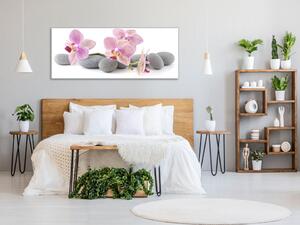 Obraz skleněný růžové květy orchidejí na šedých kamenech - 60 x 90 cm