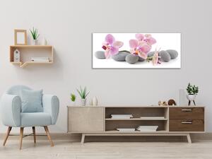 Obraz skleněný růžové květy orchidejí na šedých kamenech - 30 x 60 cm