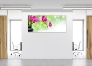 Obraz skleněný květy růžové orchideje na stonku a bambus - 34 x 72 cm