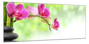 Obraz skleněný květy růžové orchideje na stonku a bambus - 70 x 100 cm