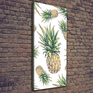 Vertikální Moderní obraz canvas na rámu Ananasy ocv-81401502