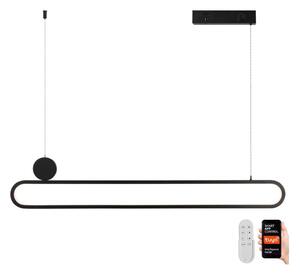 Immax NEO 07231L - LED Stmívatelný lustr na lanku LITE OVALE LED/50W/230V + DO