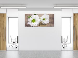 Obraz skleněný květ bílé chryzantémy na dřevě - 50 x 100 cm