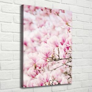 Vertikální Foto obraz na plátně Květy magnolie ocv-81680689