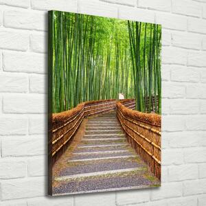 Vertikální Foto obraz na plátně Bambusový les ocv-81607376