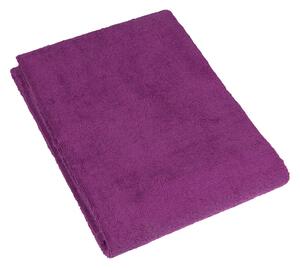 Bellatex Froté plážové osušky 100x150 cm fialová
