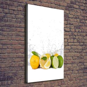 Vertikální Moderní obraz canvas na rámu Citrusy ocv-81760914