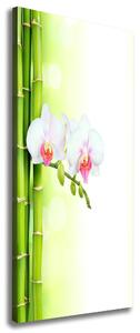 Vertikální Foto obraz na plátně Orchidej a bambus ocv-82165838