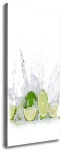 Vertikální Moderní obraz canvas na rámu Limetka ocv-82343723