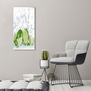Vertikální Moderní obraz canvas na rámu Limetka ocv-82343730