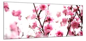 Obraz skleněný růžové květy švestky - 60 x 90 cm