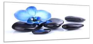 Obraz skleněný květ modrá orchidej na černých oblázcích - 70 x 100 cm