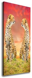 Vertikální Vertikální Foto obraz na plátně do obýváku Dva gepardi ocv-82648139