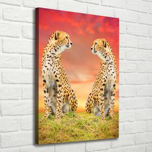 Vertikální Vertikální Foto obraz na plátně do obýváku Dva gepardi ocv-82648139