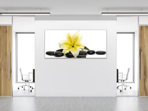 Obraz skleněný květy žluté lilie a černé kameny oblázky - 30 x 60 cm