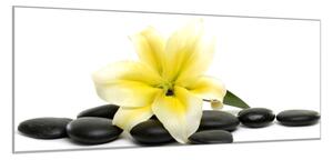 Obraz skleněný květy žluté lilie a černé kameny oblázky - 34 x 72 cm