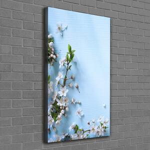 Vertikální Foto obraz canvas Květy višně ocv-82769762