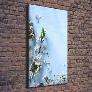 Vertikální Foto obraz canvas Květy višně ocv-82769762