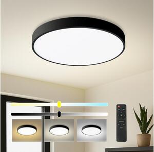 BRILAGI - LED Stm. svítidlo POOL LED/60W/230V 3000-6000K pr. 60 cm černá + DO