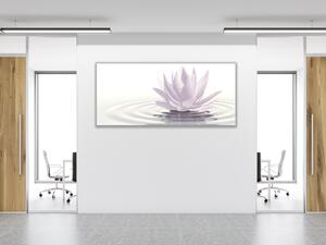 Obraz skleněný květ bílý leknín na hladině - 70 x 100 cm