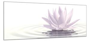 Obraz skleněný květ bílý leknín na hladině - 52 x 60 cm