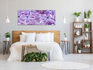 Obraz skleněný detail květy fialového šeříku - 100 x 150 cm