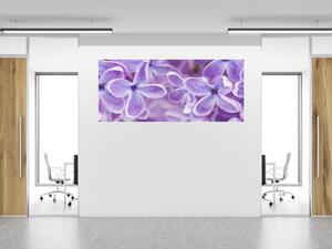Obraz skleněný detail květy fialového šeříku - 30 x 60 cm
