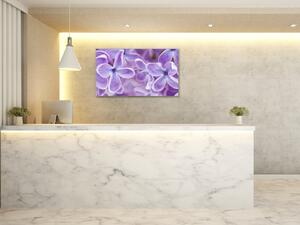 Obraz skleněný detail květy fialového šeříku - 100 x 150 cm