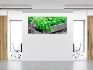 Obraz skleněný dřevěná bedna s bylinkami - 30 x 60 cm
