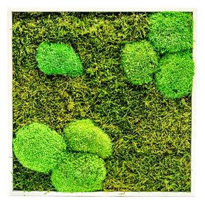 Mechový obraz 35x35 cm kombinovaný mech kopečkový s plochým, bílá +