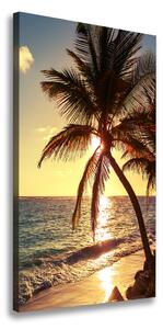 Vertikální Foto obraz na plátně Tropická pláž ocv-83274893